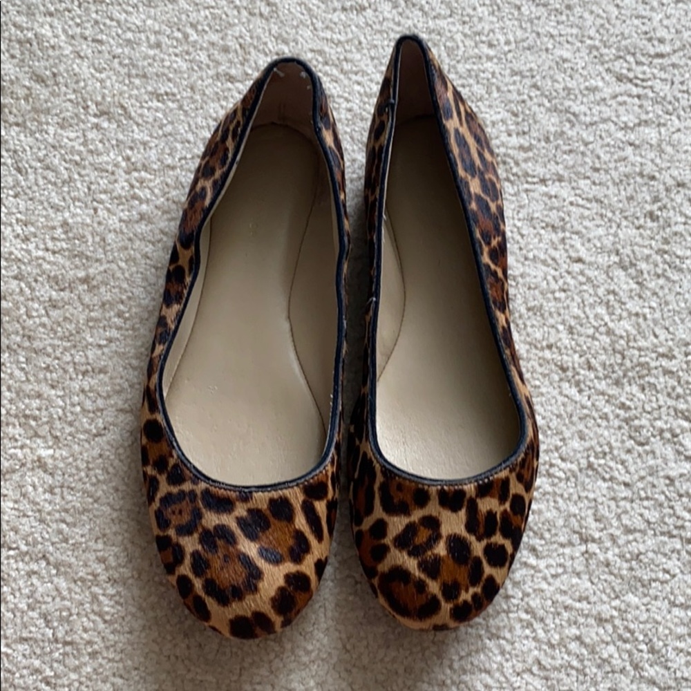 Cheetah Flats